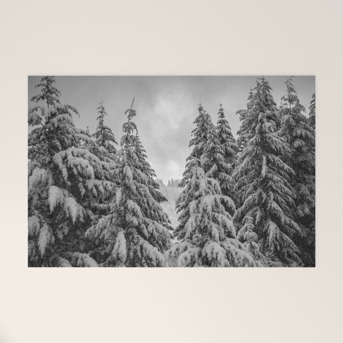 Forest Winter Window - 45/365 Nature Photography Welcome Mat Gallery Image 1