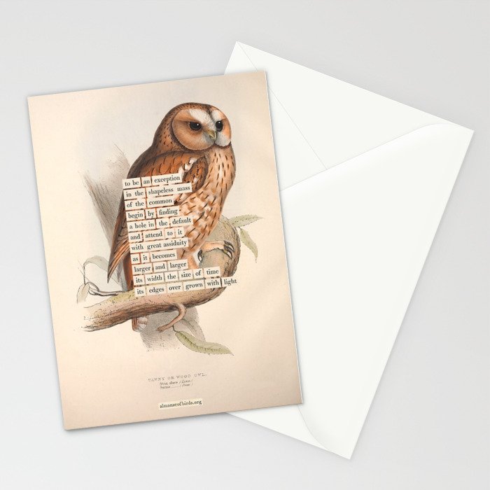 Bird Divinations: Tawny owl (about: almanacofbirds.org) Stationery Card Gallery Image 2