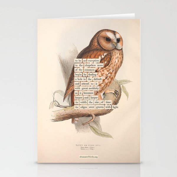 Bird Divinations: Tawny owl (about: almanacofbirds.org) Stationery Card Gallery Image 2