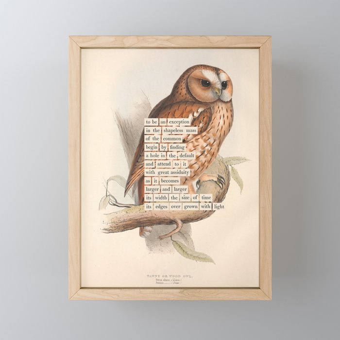 Bird Divinations: Tawny owl (about: almanacofbirds.org) Mini Art Print Gallery Image 1