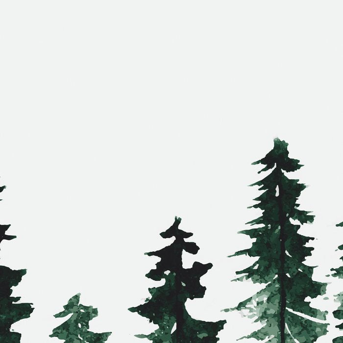Foggy Pine Trees 2 Coffee Mug Gallery Image 2