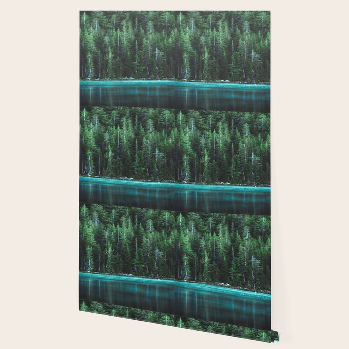 Forest 3 Wallpaper Gallery Image 2