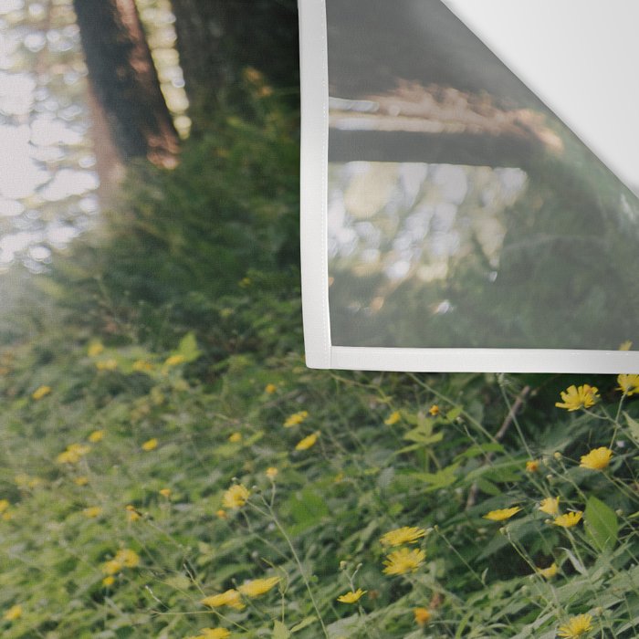 Dandelion Trail Wall Tapestry Gallery Image 3