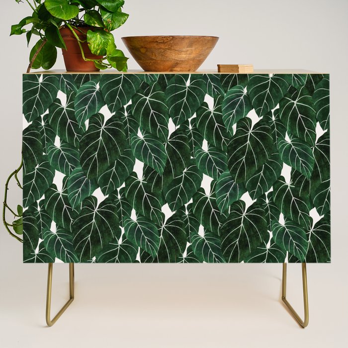 philodendron pot plant Credenza Gallery Image 1