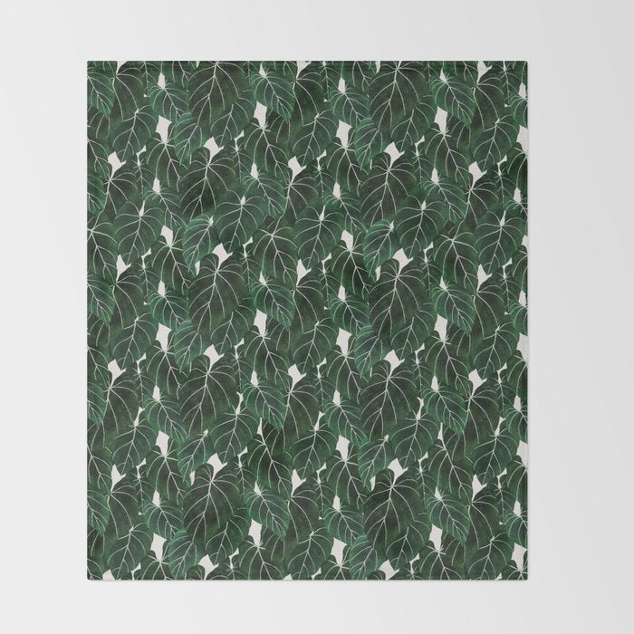 philodendron pot plant Throw Blanket Gallery Image 2