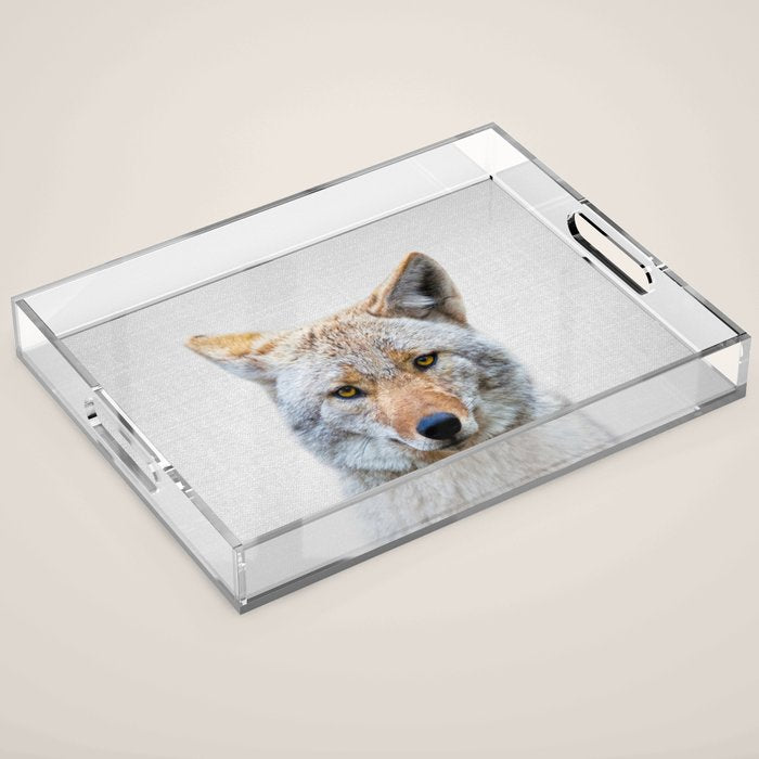 Coyote - Colorful Acrylic Tray Gallery Image 1