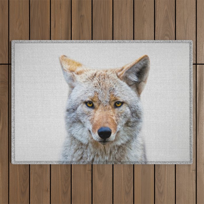Coyote - Colorful Outdoor Rug Gallery Image 1