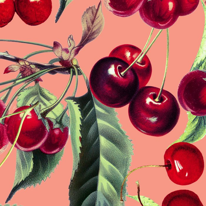 Sweet Cherry V Coffee Mug Gallery Image 2