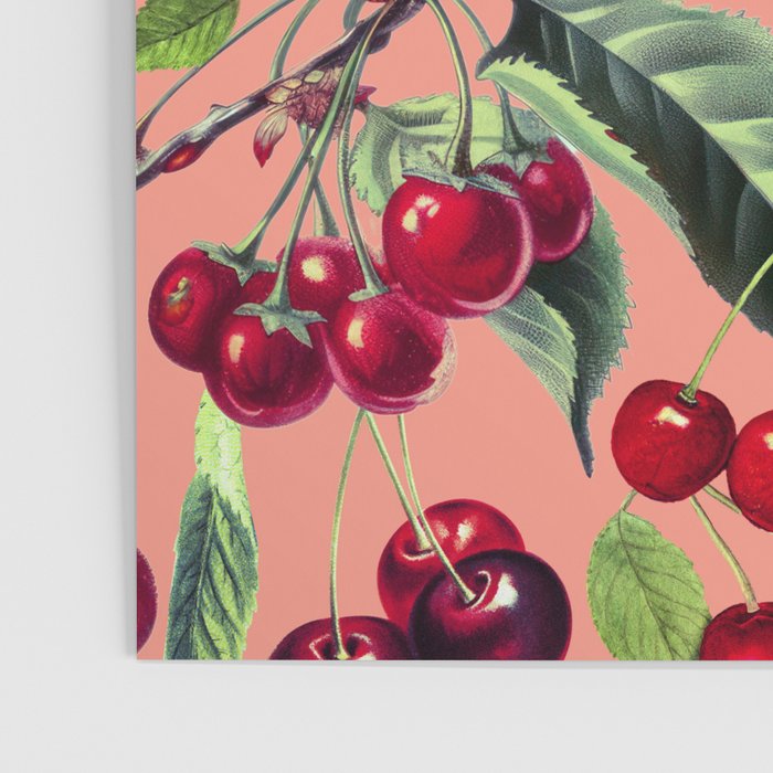 Sweet Cherry V Poster Gallery Image 3