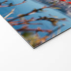 Thielsen from Crater Lake Welcome Mat Gallery Image 2