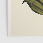 Abstract Art /Minimal Plant 82 Poster Gallery Image 3