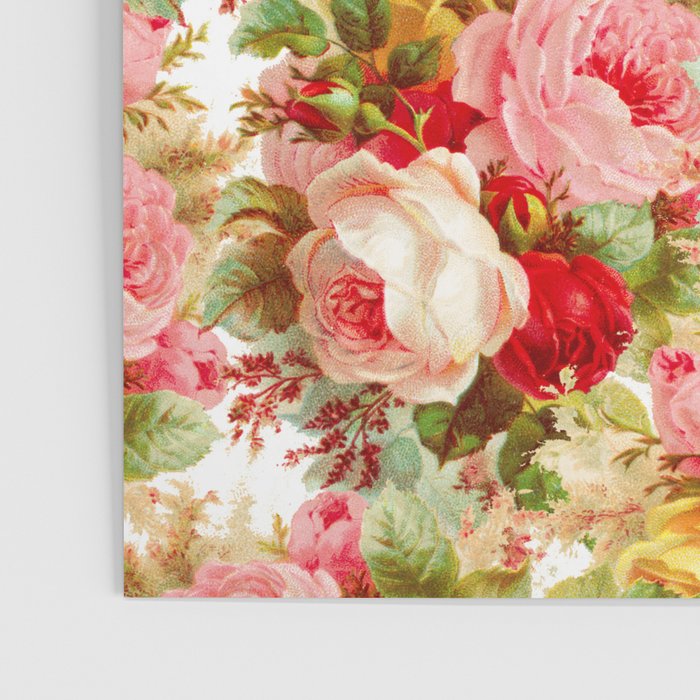 Boho chic pink yellow red roses floral vintage painting Poster Gallery Image 3