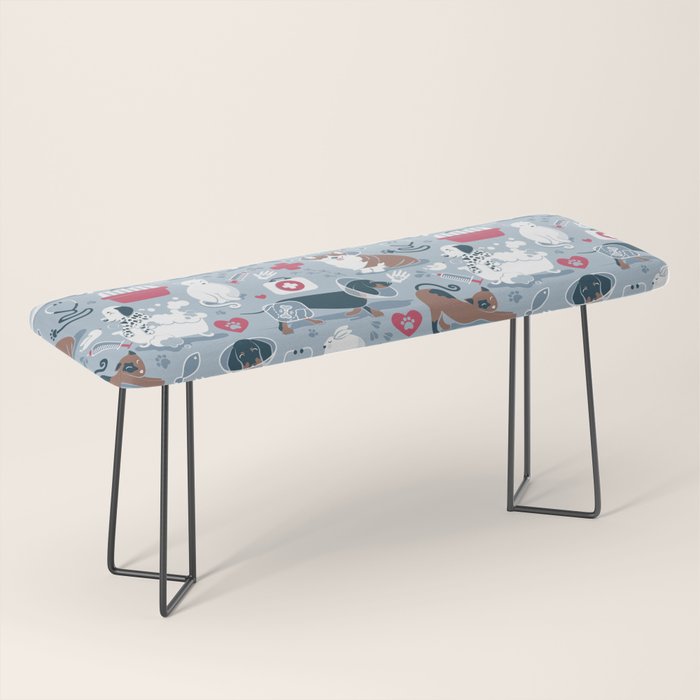 Veterinary medicine, happy and healthy friends // pastel blue background Bench Gallery Image 1