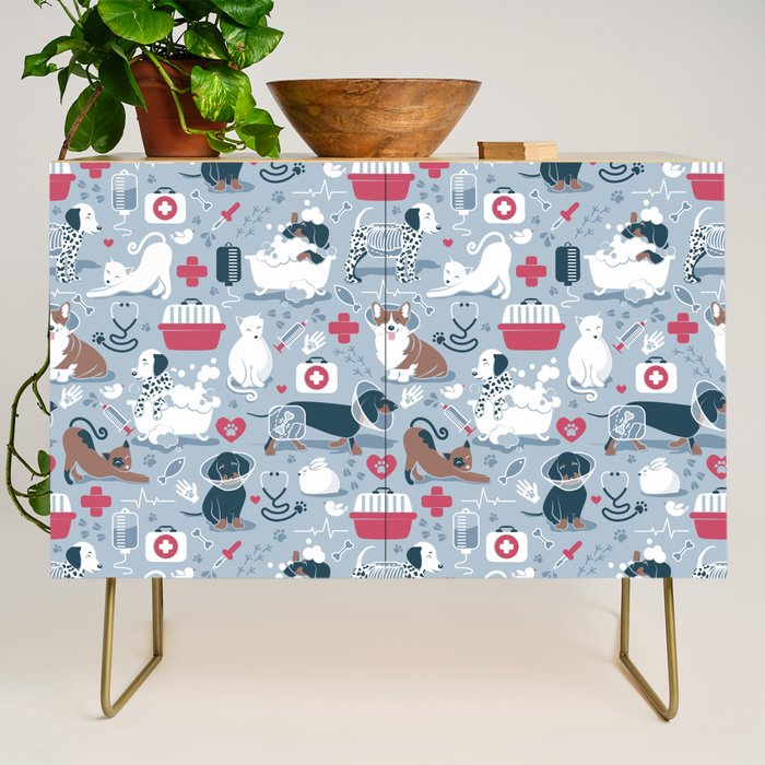 Veterinary medicine, happy and healthy friends // pastel blue background Credenza Gallery Image 1