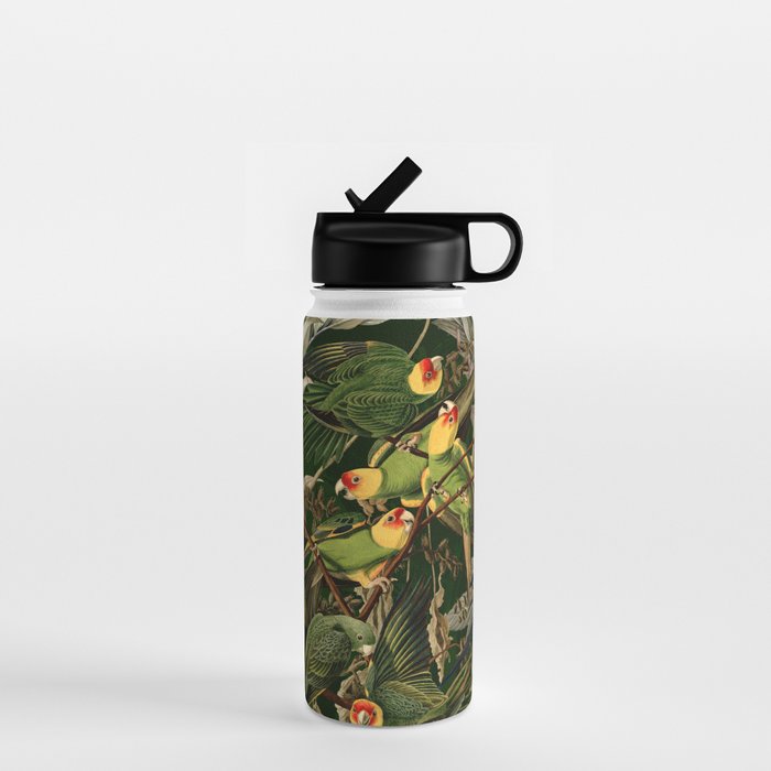 Floral and Birds XXXVI Water Bottle Gallery Image 1