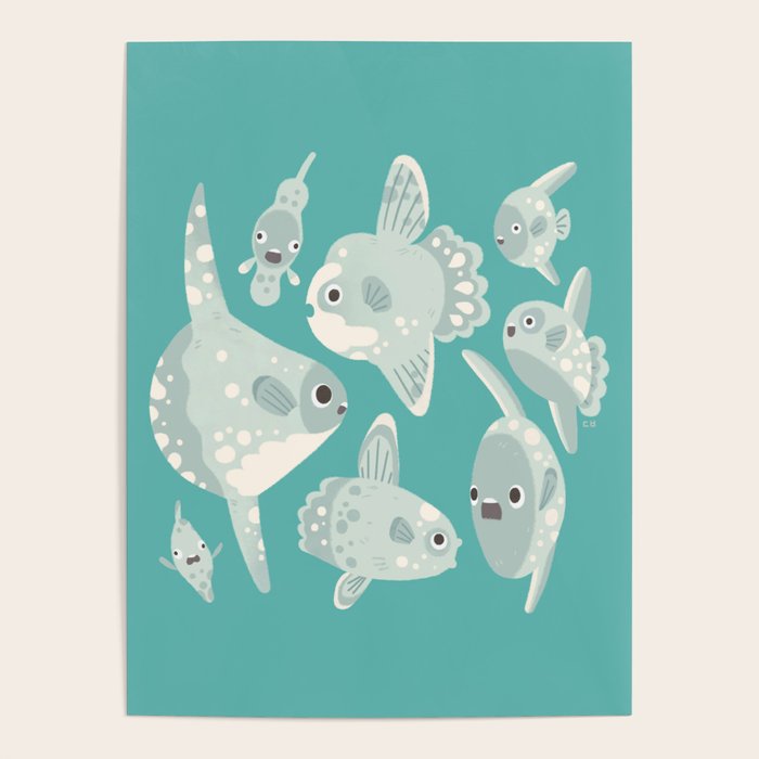 Mola mola Poster Gallery Image 1