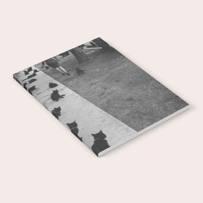 Black Cats Auditioning in Hollywood black and white photograph Notebook Gallery Image 1