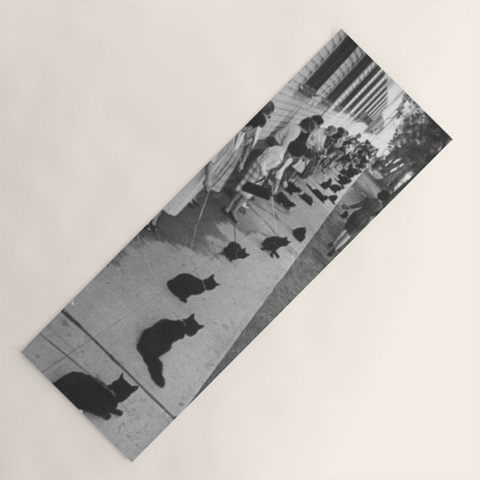 Black Cats Auditioning in Hollywood black and white photograph Yoga Mat Gallery Image 1