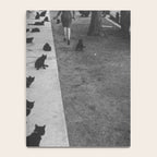 Black Cats Auditioning in Hollywood black and white photograph Notebook Gallery Image 4