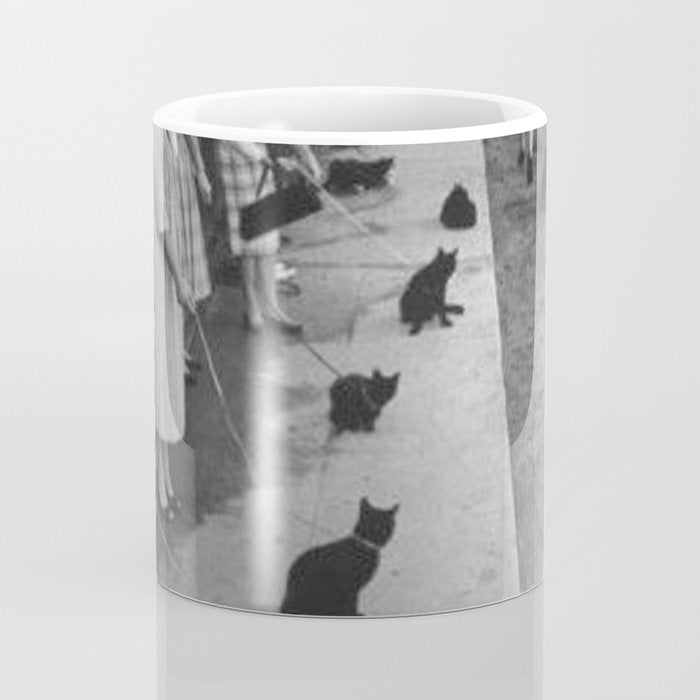 Black Cats Auditioning in Hollywood black and white photograph Coffee Mug Gallery Image 4