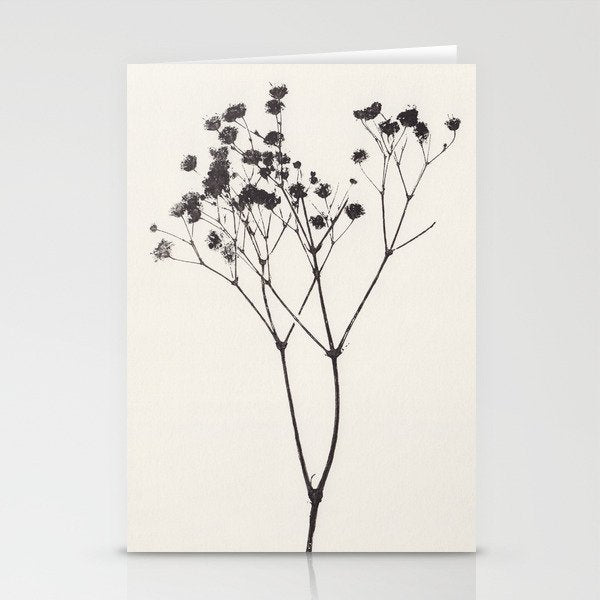 Gypsophila Portrait #1 Stationery Card Gallery Image 2