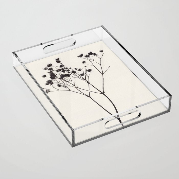 Gypsophila Portrait #1 Acrylic Tray Gallery Image 1