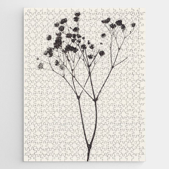 Gypsophila Portrait #1 Jigsaw Puzzle Gallery Image 1