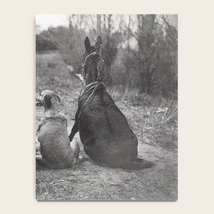 A Girl, Her Dog, and Her Horse wonderful black and white photograph - photography Notebook Gallery Image 4