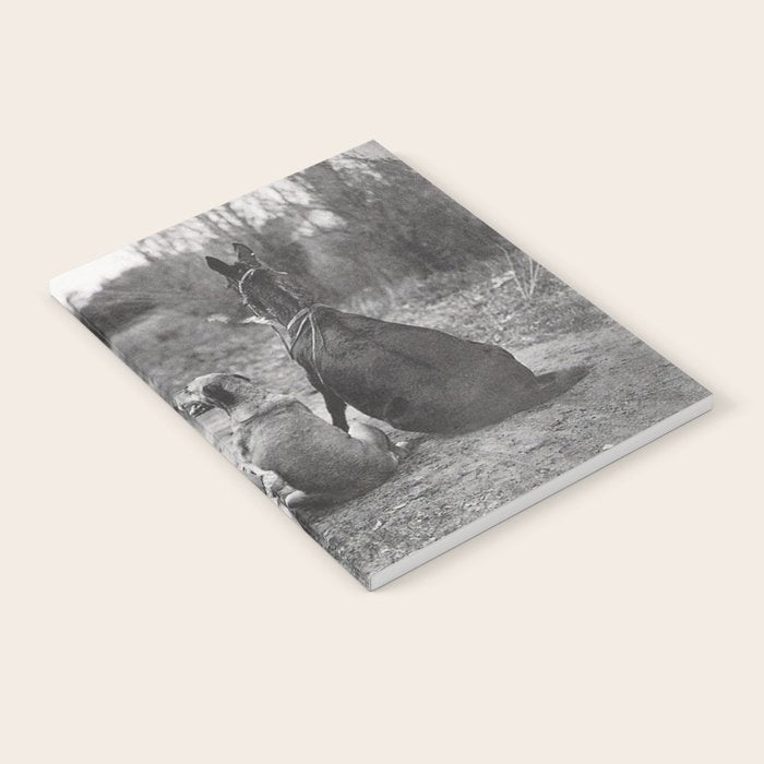 A Girl, Her Dog, and Her Horse wonderful black and white photograph - photography Notebook Gallery Image 1