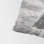 A Girl, Her Dog, and Her Horse wonderful black and white photograph - photography Pillow Sham Gallery Image 4