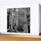 A Book Lover's Dream - Cincinnati Public Library black and white photographs / black and white photo Wall Mural Gallery Image 2