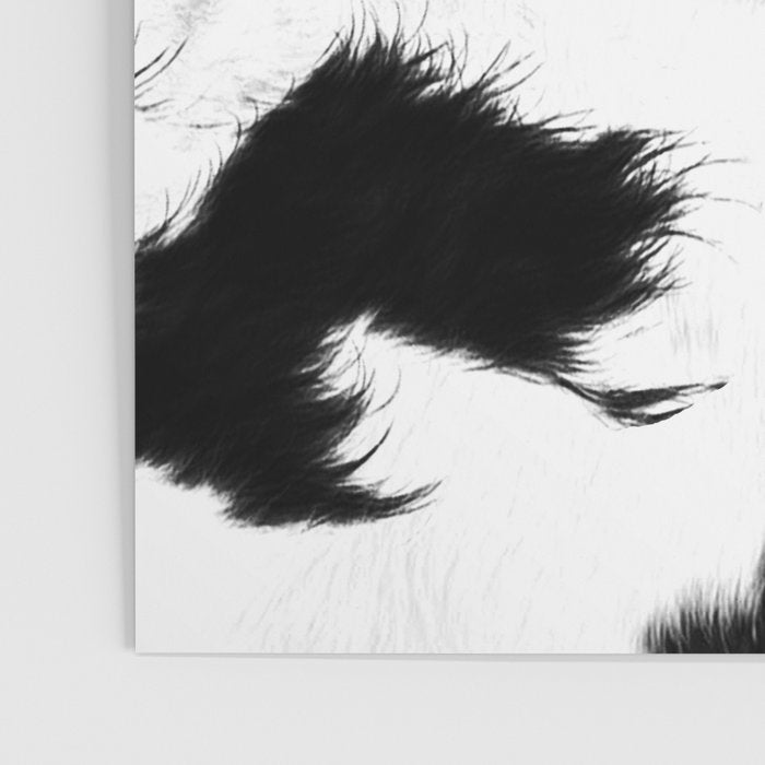 Rustic Cowhide Poster Gallery Image 3