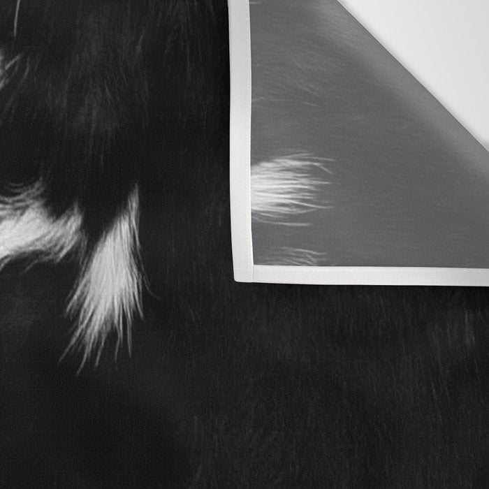 Rustic Cowhide Wall Tapestry Gallery Image 3