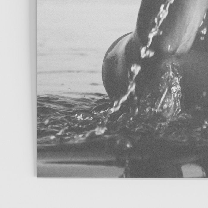 Wild and free, just like the sea - Female portrait black and white photography - photograph Poster Gallery Image 3