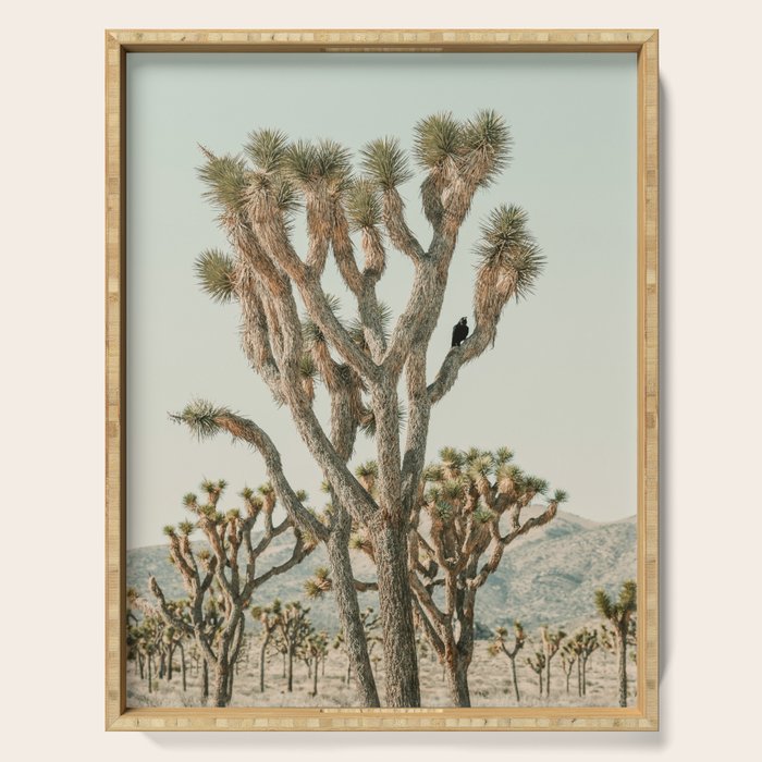 Joshua Tree With Crow - Modern Fine Art Photograph Serving Tray Gallery Image 1
