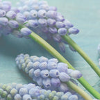 Blue Flowers Coffee Mug Gallery Image 2