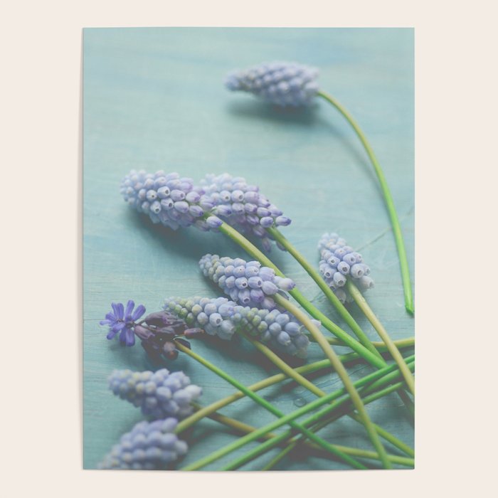 Blue Flowers Poster Gallery Image 4