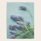Blue Flowers Poster Gallery Image 4
