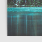 Forest 3 Poster Gallery Image 3