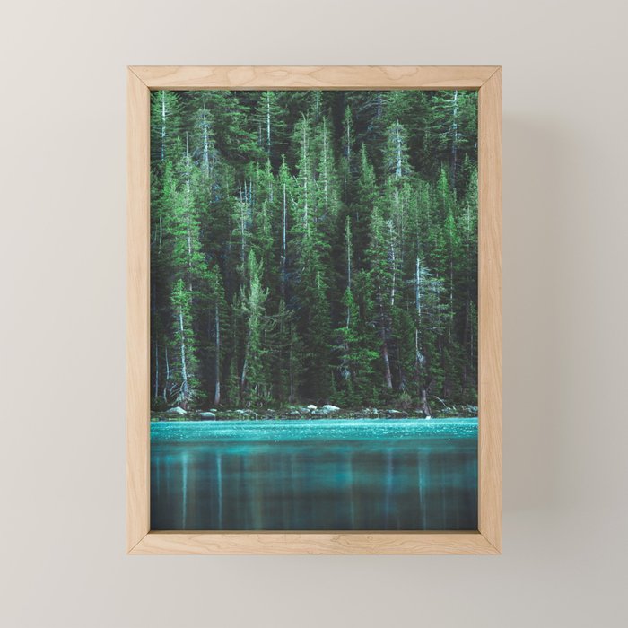 Forest 3 Mini Art Print Gallery Image 1