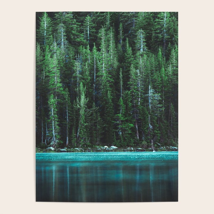 Forest 3 Poster Gallery Image 1