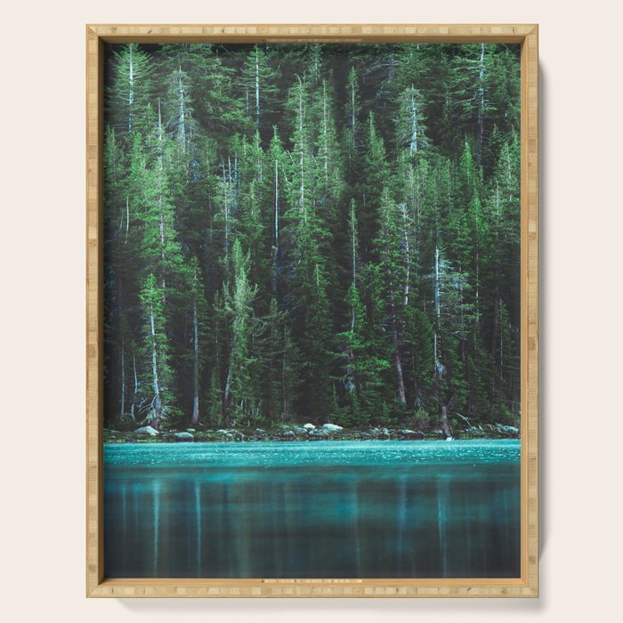 Forest 3 Serving Tray Gallery Image 1