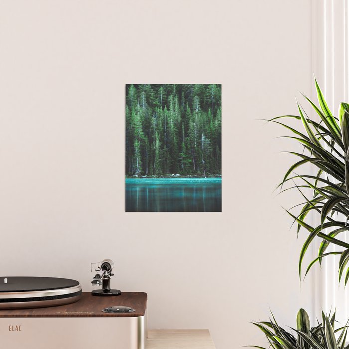 Forest 3 Poster Gallery Image 2