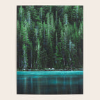 Forest 3 Poster Gallery Image 4