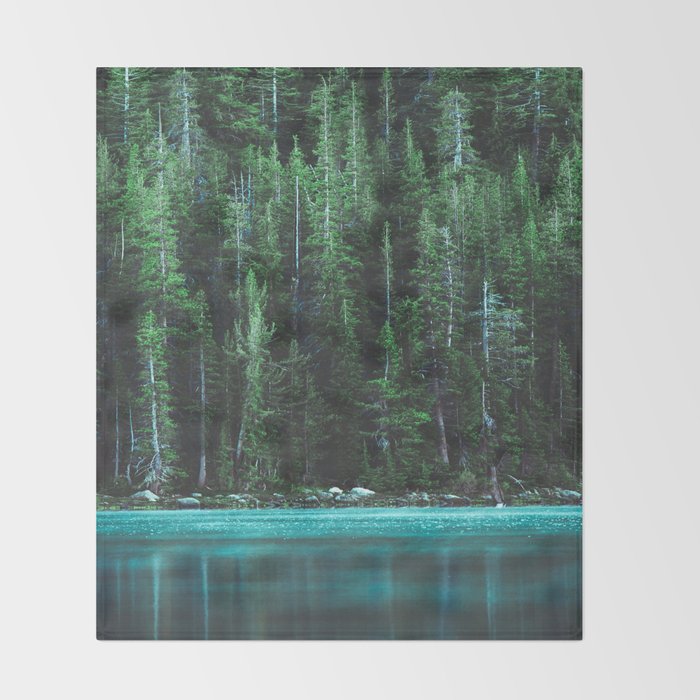 Forest 3 Throw Blanket Gallery Image 2