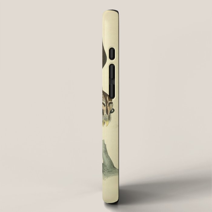Bird Divinations: Barred Owl (about: almanacofbirds.org) iPhone Case Gallery Image 2
