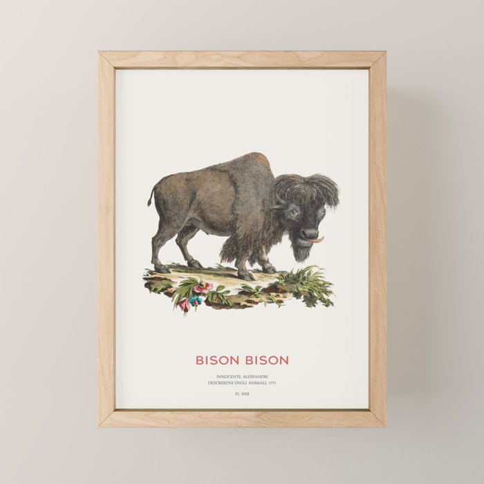American Bison Vintage Naturalist Art Mini Art Print Gallery Image 1