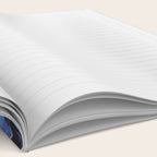 Suzanne Valadon - The Blue Room Notebook Gallery Image 2