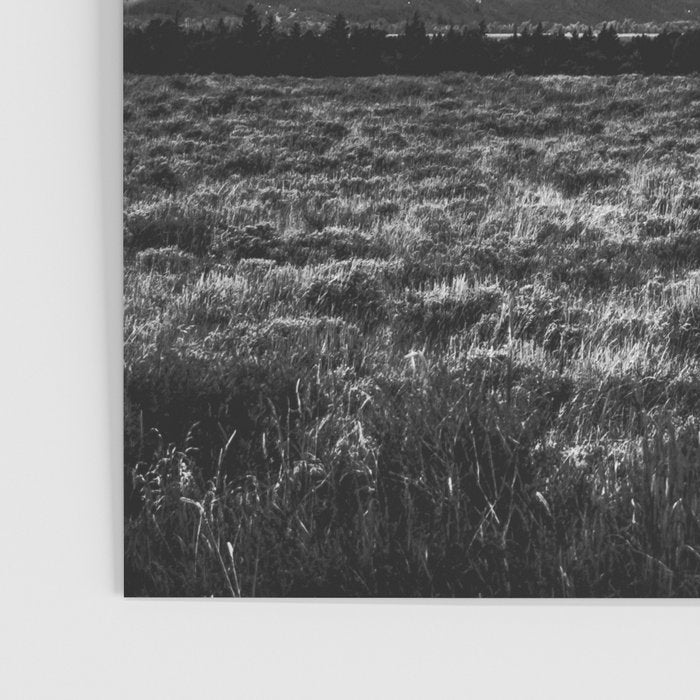 Mountain Summer Escape - Black and White Tetons Poster Gallery Image 3