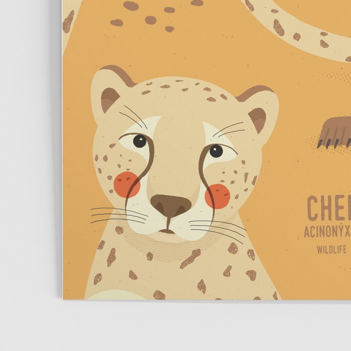 Cheetah, Wildlife of Africa Poster Gallery Image 3